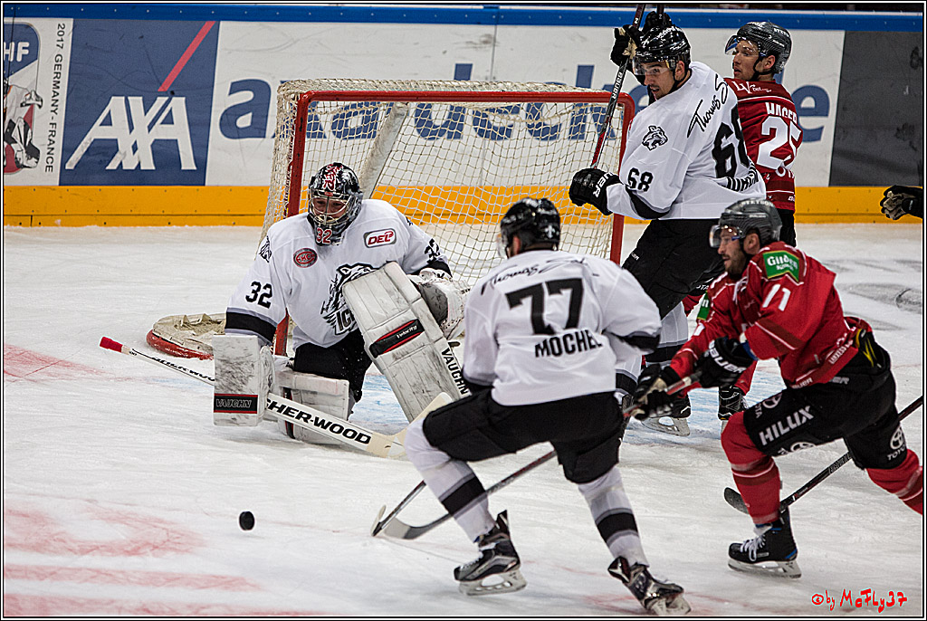 Koelner Haie - Nuernberger Ice Tiger, 04.12.2016